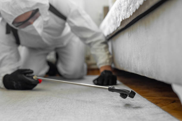Professional Pest Control technician working in Warren County County, NY